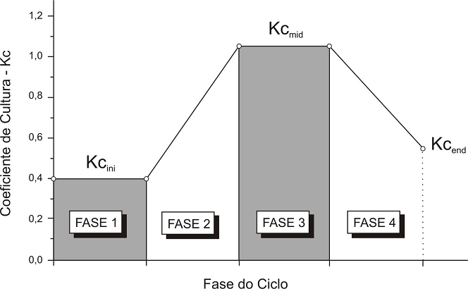 Evolução do coeficiente de cultura (K~c~) ao longo do ciclo de uma cultura anual.